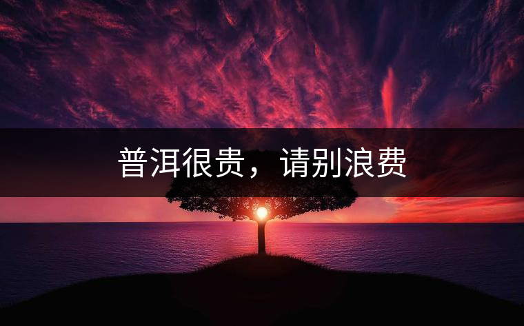普洱很貴，請(qǐng)別浪費(fèi)