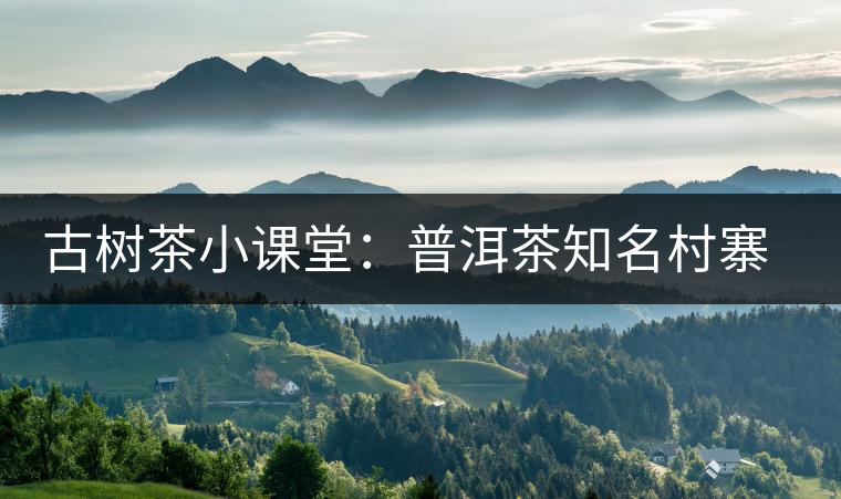 古樹茶小課堂：普洱茶知名村寨的生態(tài)環(huán)境如何？