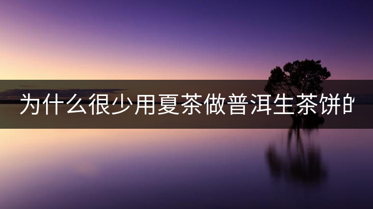 為什么很少用夏茶做普洱生茶餅的？