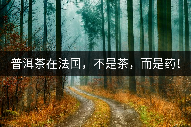 普洱茶在法國，不是茶，而是藥！