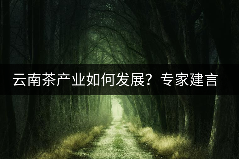 云南茶產(chǎn)業(yè)如何發(fā)展？專家建言：產(chǎn)業(yè)復(fù)興助脫貧