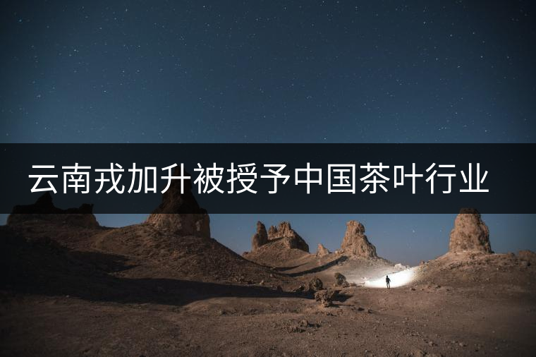 云南戎加升被授予中國茶葉行業(yè)終身成就獎(jiǎng)