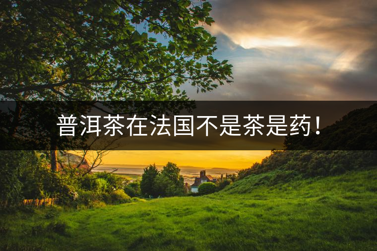普洱茶在法國不是茶是藥！