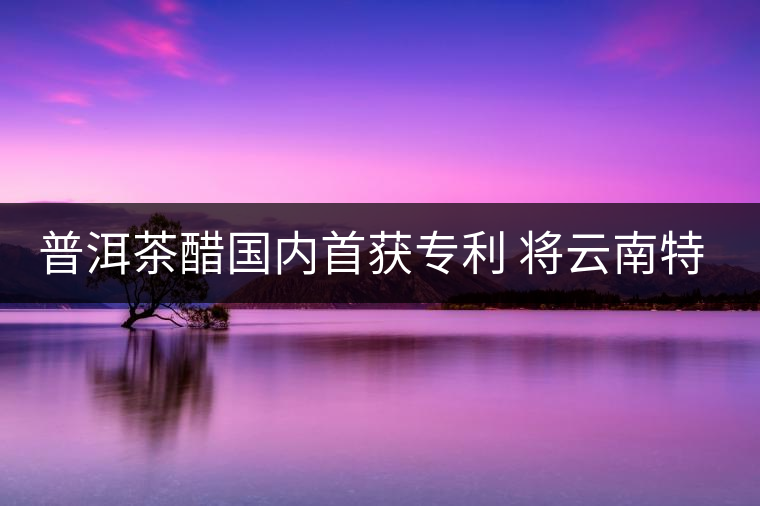 普洱茶醋國內(nèi)首獲專利 將云南特色推往全國各地