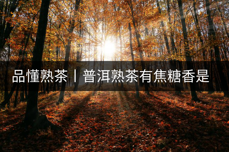 品懂熟茶丨普洱熟茶有焦糖香是好還是不好的表現(xiàn)？