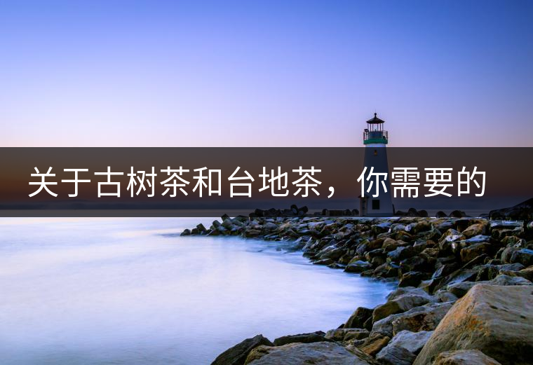 關(guān)于古樹茶和臺(tái)地茶，你需要的知識(shí)全在這里了