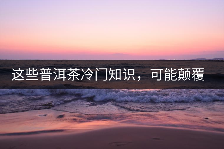 這些普洱茶冷門知識，可能顛覆你對普洱茶的認知