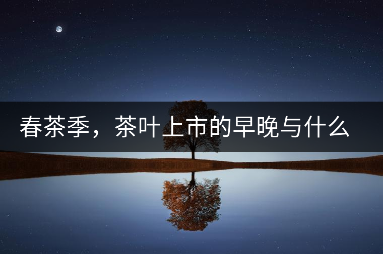 春茶季，茶葉上市的早晚與什么有關(guān)