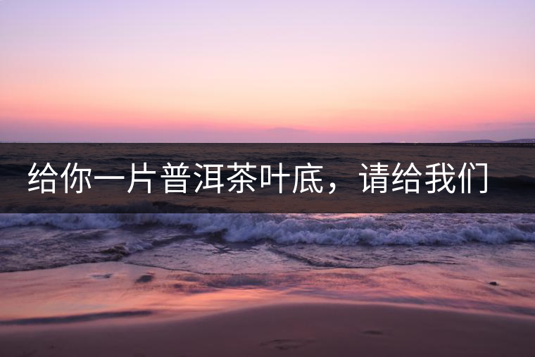 給你一片普洱茶葉底,請(qǐng)給我們聊聊它的生態(tài)和樹(shù)齡 給你一片普洱茶葉底,請(qǐng)給我們聊聊它的生態(tài)和樹(shù)齡