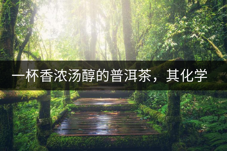 一杯香濃湯醇的普洱茶，其化學(xué)成分是怎樣的？
