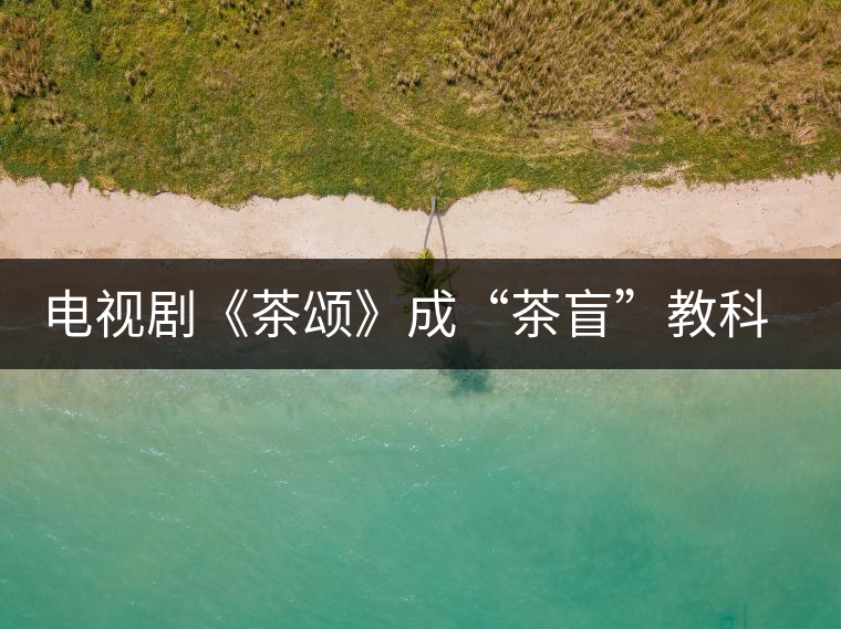電視劇《茶頌》成“茶盲”教科書