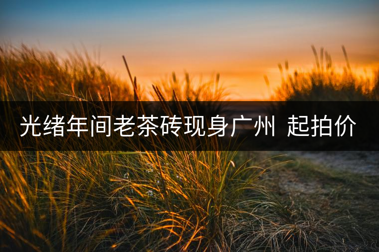 光緒年間老茶磚現(xiàn)身廣州 起拍價50萬 光緒年間老茶磚現(xiàn)身廣州 起拍價50萬