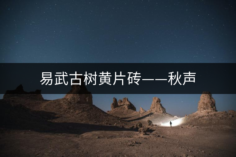 易武古樹(shù)黃片磚——秋聲 易武古樹(shù)黃片磚——秋聲