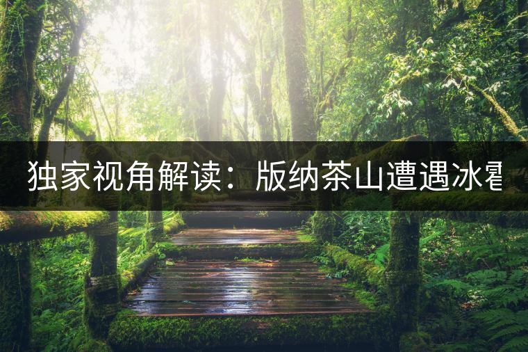 獨(dú)家視角解讀：版納茶山遭遇冰雹襲擊長(zhǎng)達(dá)17分鐘