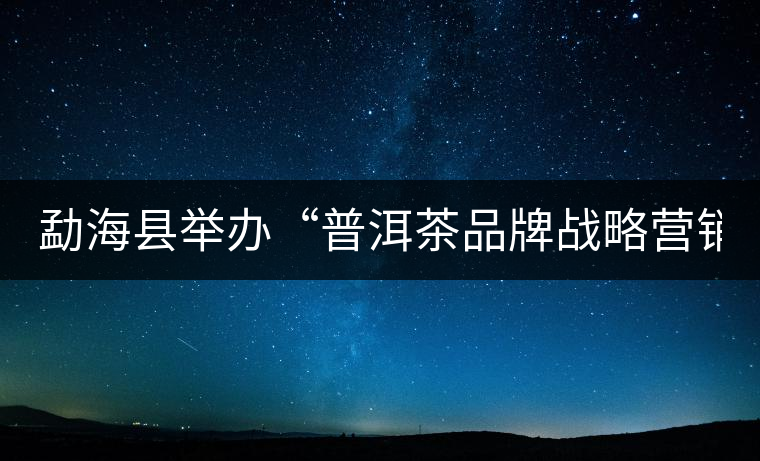 勐?？h舉辦“普洱茶品牌戰(zhàn)略營銷專題講座”