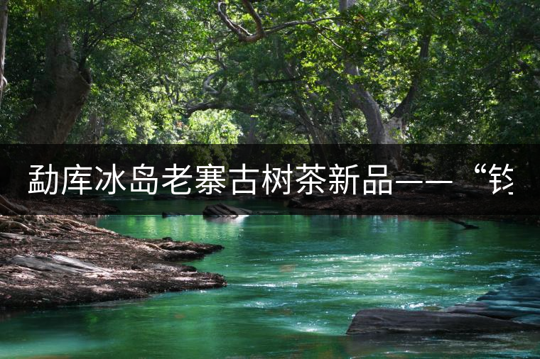 勐庫(kù)冰島老寨古樹(shù)茶新品——“鈞翔號(hào)” 勐庫(kù)冰島老寨古樹(shù)茶新品——“鈞翔號(hào)”