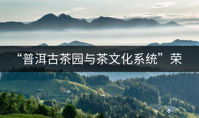 “普洱古茶園與茶文化系統(tǒng)”榮膺中國首批重要農(nóng)業(yè)文化遺產(chǎn) “普洱古茶園與茶文化系統(tǒng)”榮膺中國首批重要農(nóng)業(yè)文化遺產(chǎn)