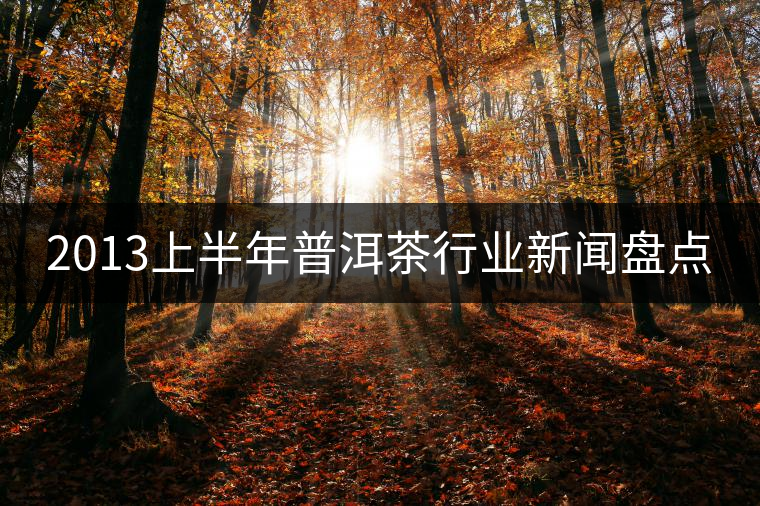 2013上半年普洱茶行業(yè)新聞盤點