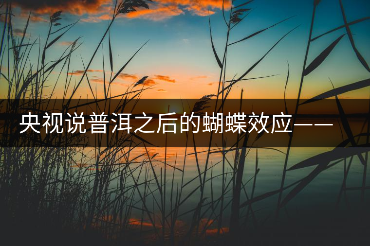 央視說普洱之后的蝴蝶效應(yīng)——過度開采會(huì)出現(xiàn)“死循環(huán)”？