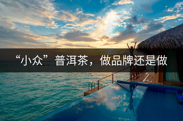 “小眾”普洱茶，做品牌還是做圈子？