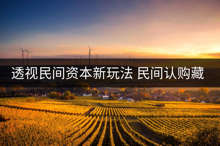 透視民間資本新玩法 民間認(rèn)購(gòu)藏茶獲利按比分成 透視民間資本新玩法 民間認(rèn)購(gòu)藏茶獲利按比分成