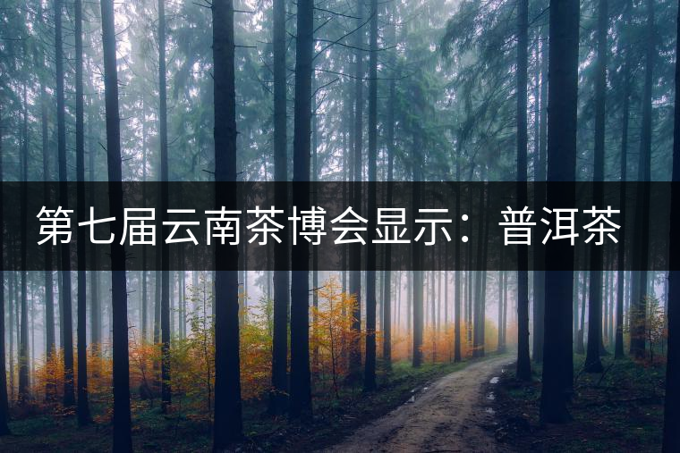 第七屆云南茶博會顯示：普洱茶開始回歸理性