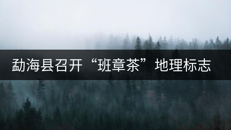 勐?？h召開“班章茶”地理標志認證評審會
