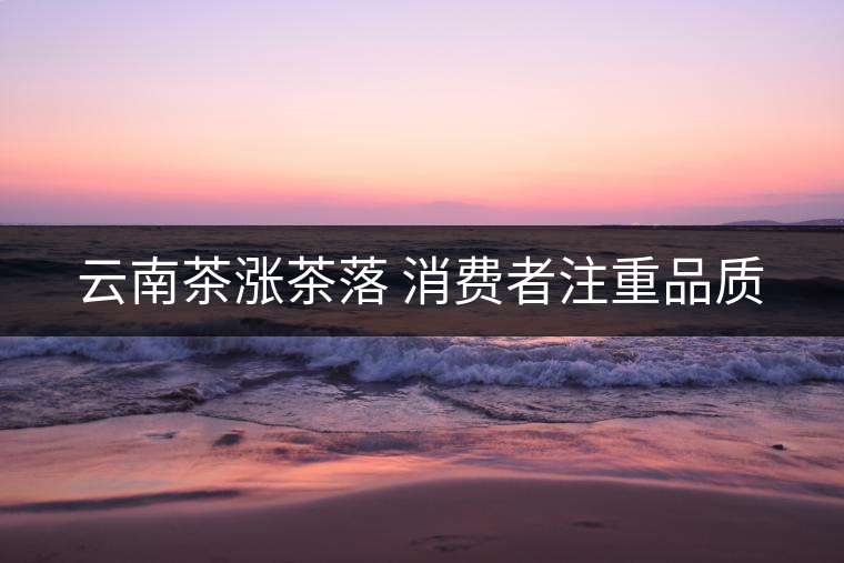 云南茶漲茶落 消費者注重品質(zhì)