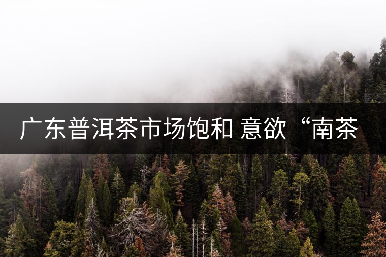 廣東普洱茶市場(chǎng)飽和 意欲“南茶北銷(xiāo)” 廣東普洱茶市場(chǎng)飽和 意欲“南茶北銷(xiāo)”
