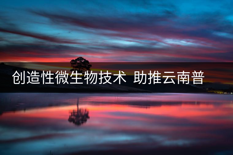 創(chuàng)造性微生物技術(shù)  助推云南普洱茶品質(zhì)提高