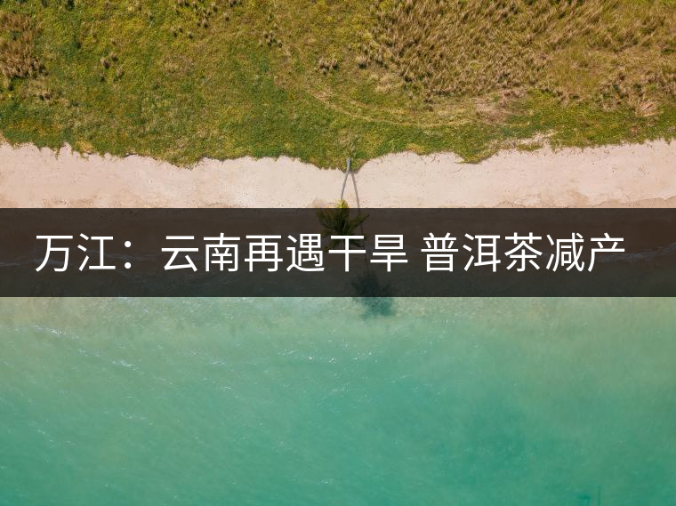 萬(wàn)江:云南再遇干旱 普洱茶減產(chǎn)漲價(jià) 萬(wàn)江:云南再遇干旱 普洱茶減產(chǎn)漲價(jià)