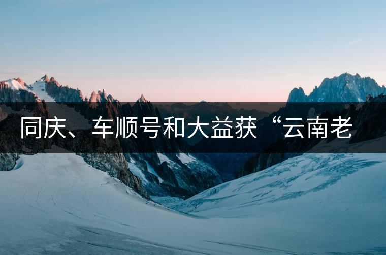 同慶、車(chē)順號(hào)和大益獲“云南老字號(hào)”稱(chēng)號(hào)