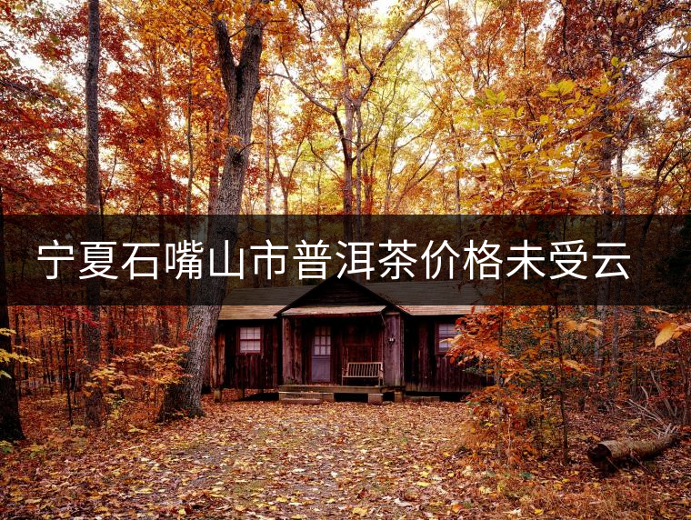 寧夏石嘴山市普洱茶價格未受云南大旱影響