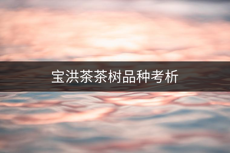 寶洪茶茶樹品種考析 寶洪茶茶樹品種考析