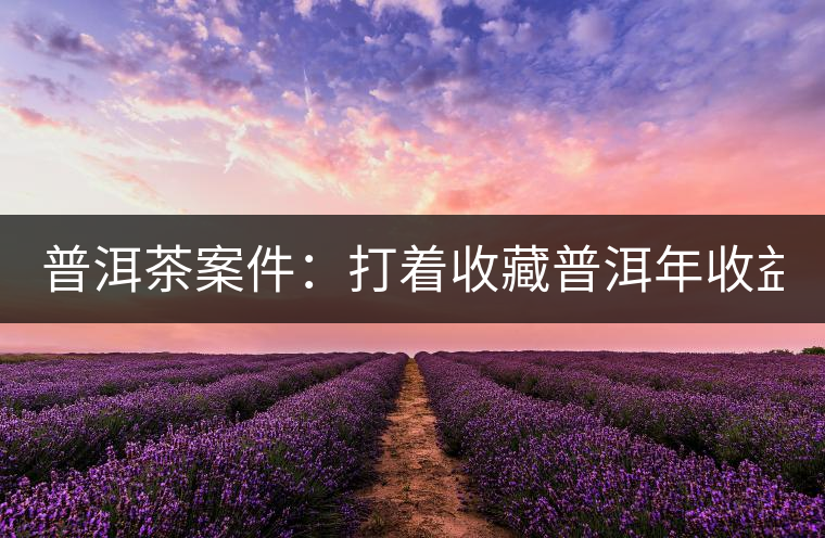 普洱茶案件：打著收藏普洱年收益不低于16%，非法吸收公眾存款