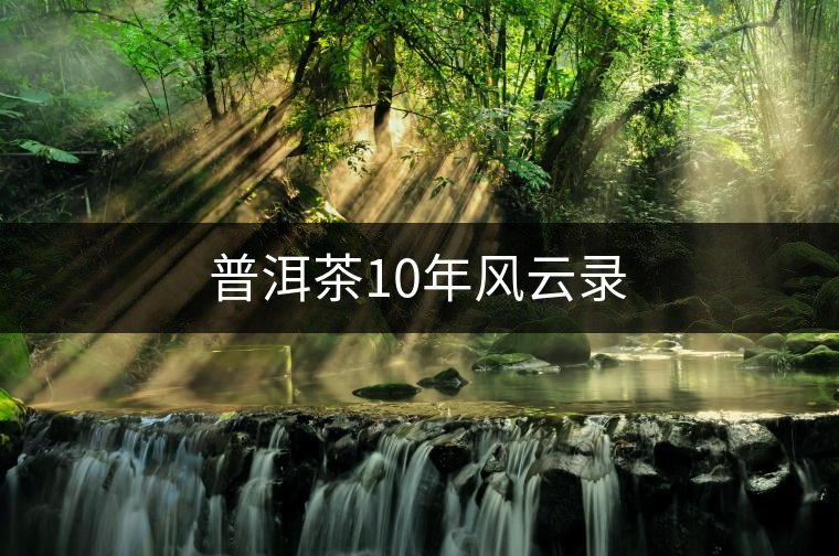 普洱茶10年風(fēng)云錄 普洱茶10年風(fēng)云錄