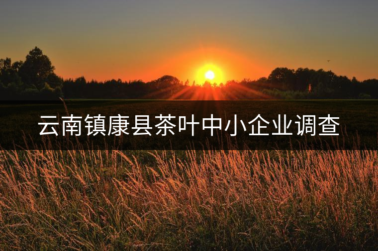 云南鎮(zhèn)康縣茶葉中小企業(yè)調(diào)查 云南鎮(zhèn)康縣茶葉中小企業(yè)調(diào)查