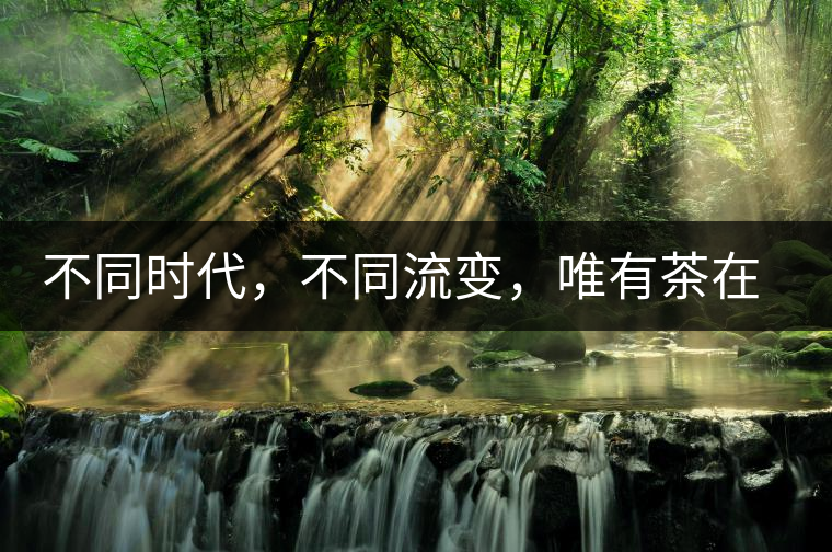 不同時(shí)代，不同流變，唯有茶在傳承