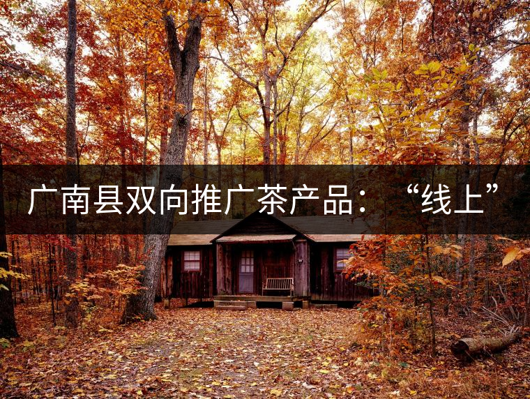 廣南縣雙向推廣茶產(chǎn)品：“線上”銷售茶葉已有100多家，“線下”銷售額已達(dá)百萬(wàn)