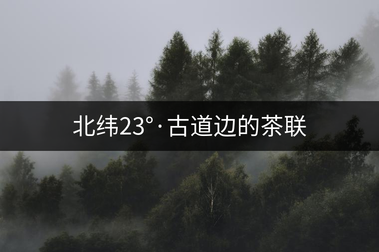 北緯23°·古道邊的茶聯(lián)