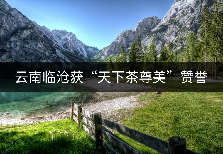 云南臨滄獲“天下茶尊美”贊譽(yù)