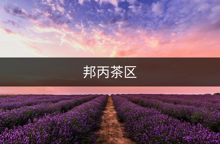 邦丙茶區(qū) 邦丙茶區(qū)