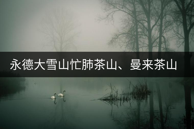 永德大雪山忙肺茶山、曼來茶山、放牛場茶園的生態(tài)指數(shù)