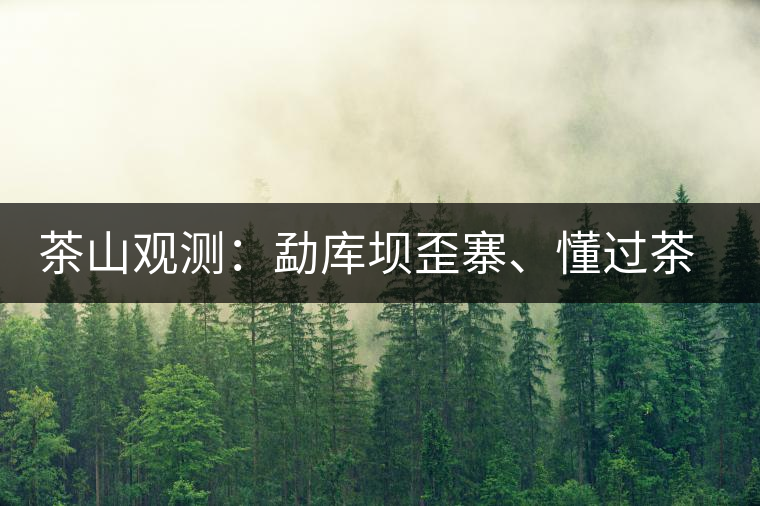 茶山觀測：勐庫壩歪寨、懂過茶山、大戶寨等茶山的生態(tài)指數(shù)