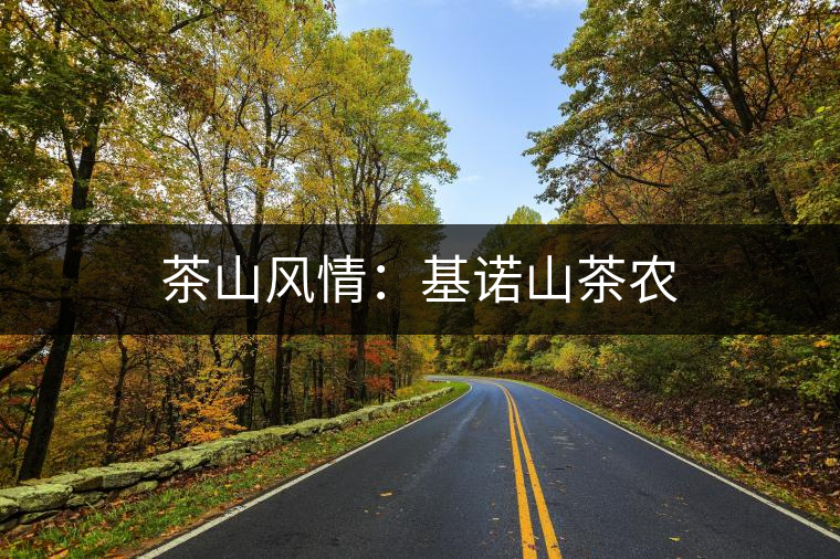 茶山風情：基諾山茶農(nóng)