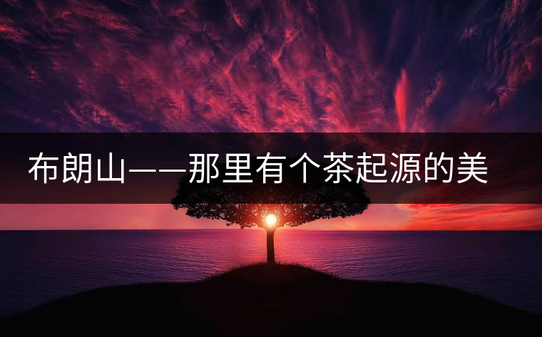 布朗山——那里有個茶起源的美麗傳說 布朗山——那里有個茶起源的美麗傳說