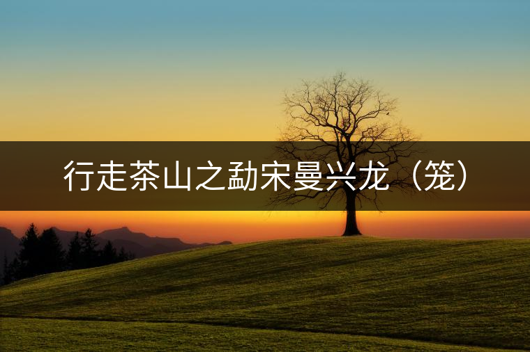 行走茶山之勐宋曼興龍(籠) 行走茶山之勐宋曼興龍(籠)