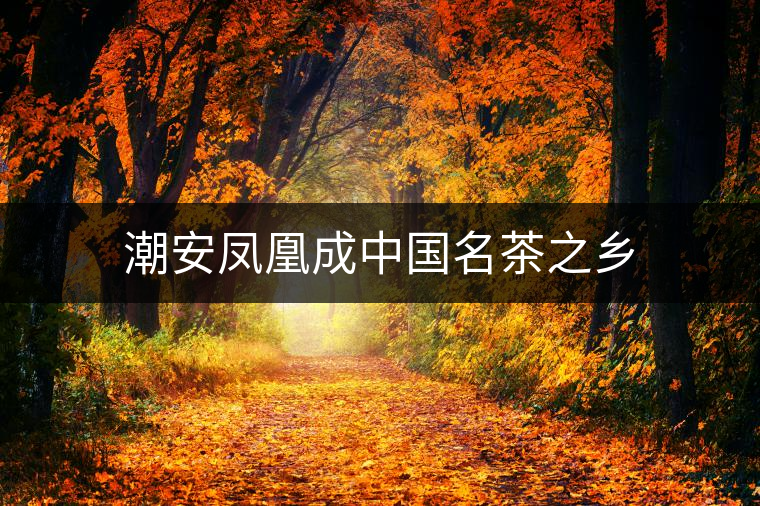 潮安鳳凰成中國名茶之鄉(xiāng) 潮安鳳凰成中國名茶之鄉(xiāng)