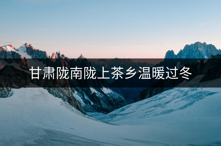 甘肅隴南隴上茶鄉(xiāng)溫暖過(guò)冬