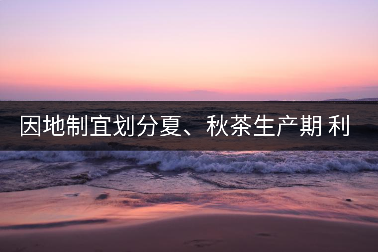 因地制宜劃分夏、秋茶生產(chǎn)期 利于采摘品質(zhì)